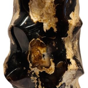 Carved black opal flame specimen sians emporium Polished black opal flame carving displaying glossy jet black body tone creamy tan veining and natural matrix patterns on an isolated white background
